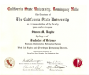 Cal State University Dominguez Hills Bachelors Degree